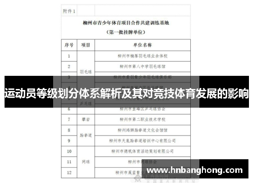 运动员等级划分体系解析及其对竞技体育发展的影响