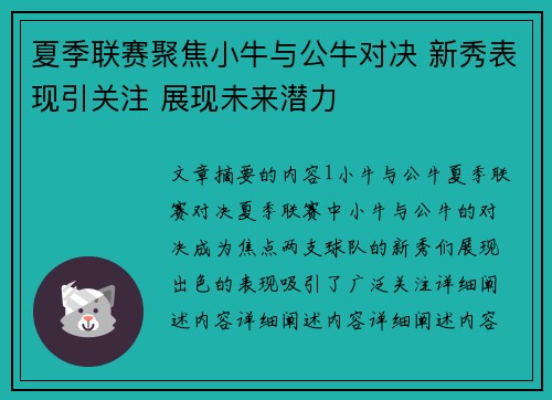 夏季联赛聚焦小牛与公牛对决 新秀表现引关注 展现未来潜力