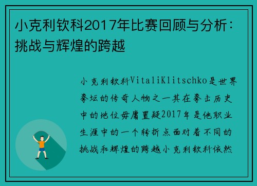 小克利钦科2017年比赛回顾与分析：挑战与辉煌的跨越